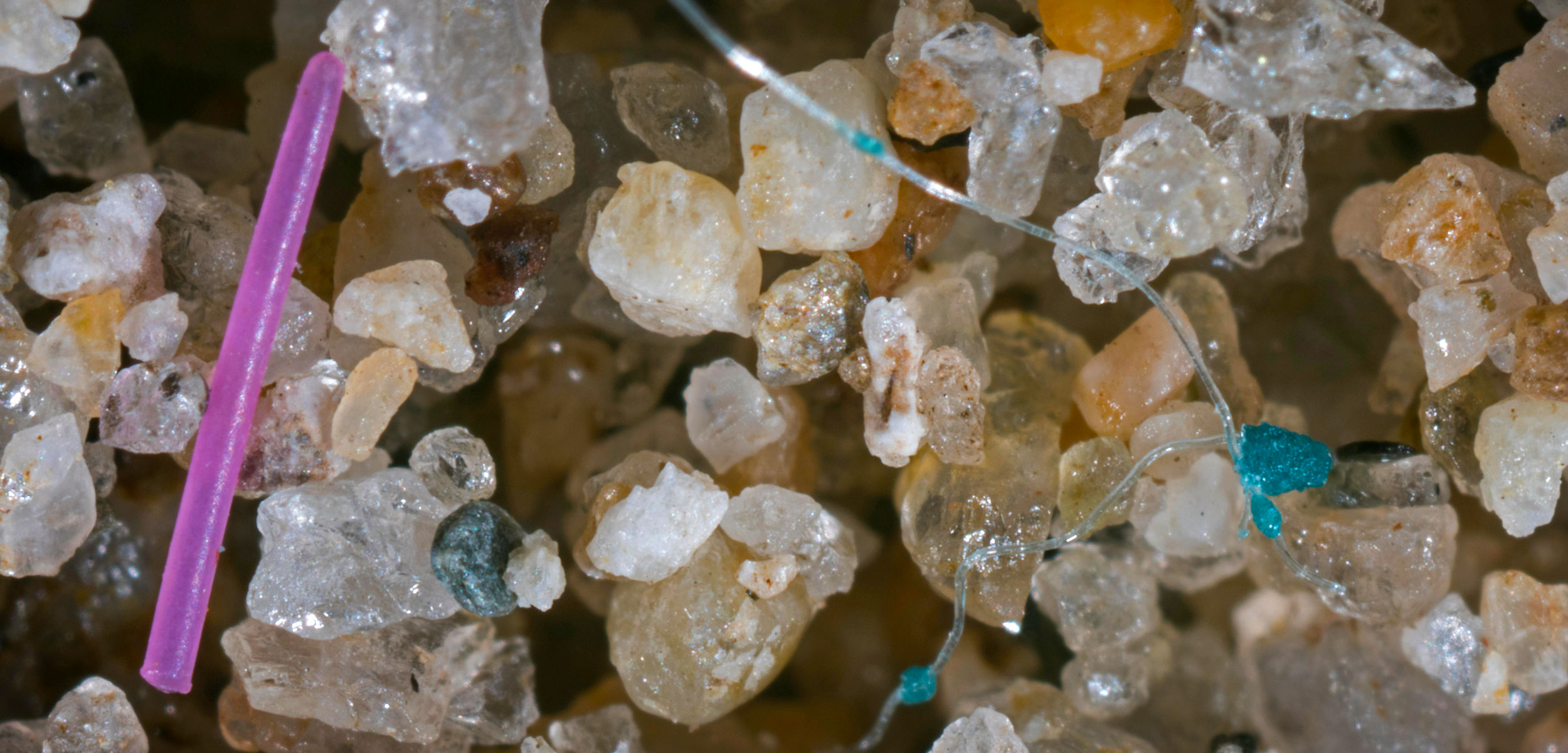 Microplastics Are Highly Diverse and Those Differences Matter