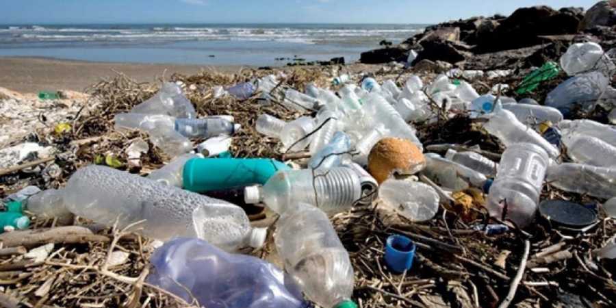 Residents unite to fight pollution along beach
