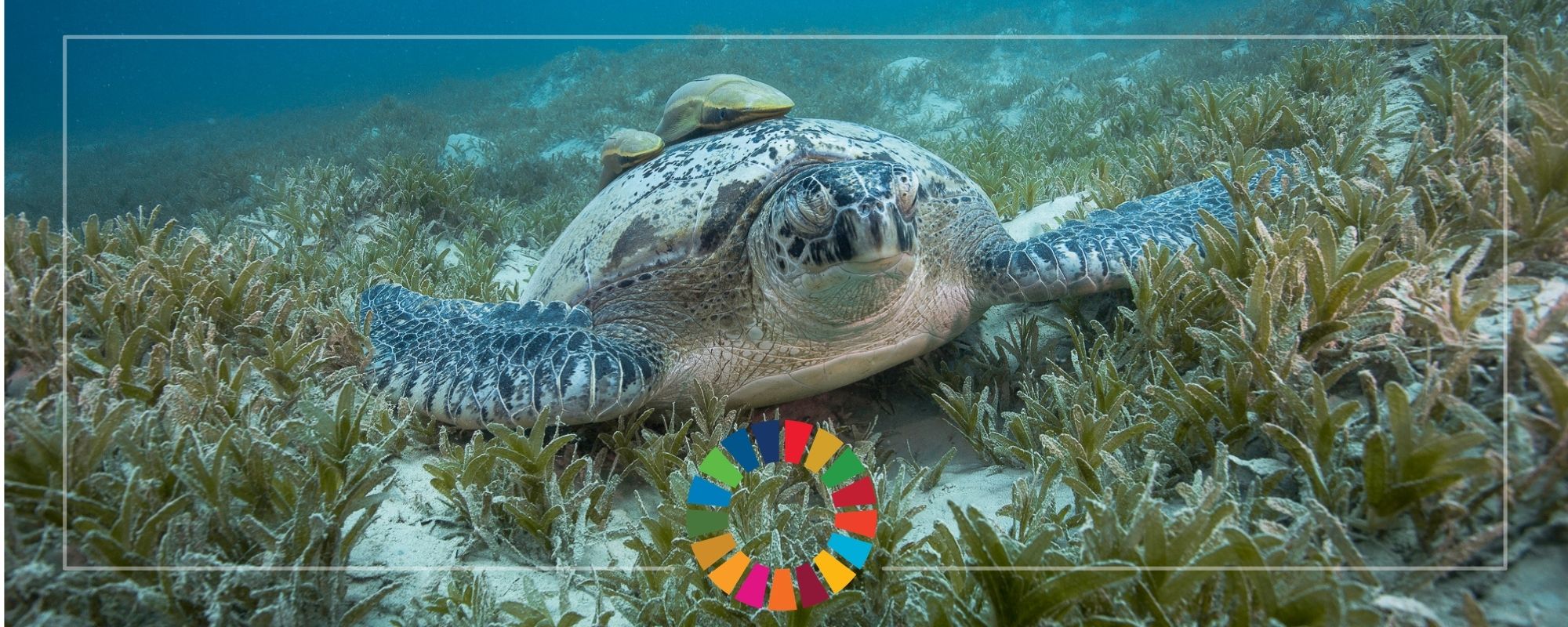 By aligning with the SDGs, we turn the invisible into the visible