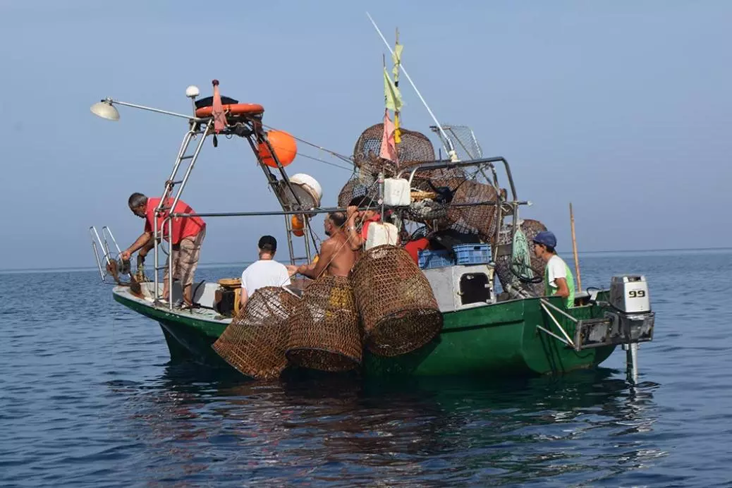 Fishermen, Guardians of the Sea: Uncover the story of Houssine Nibani, earth life science professor